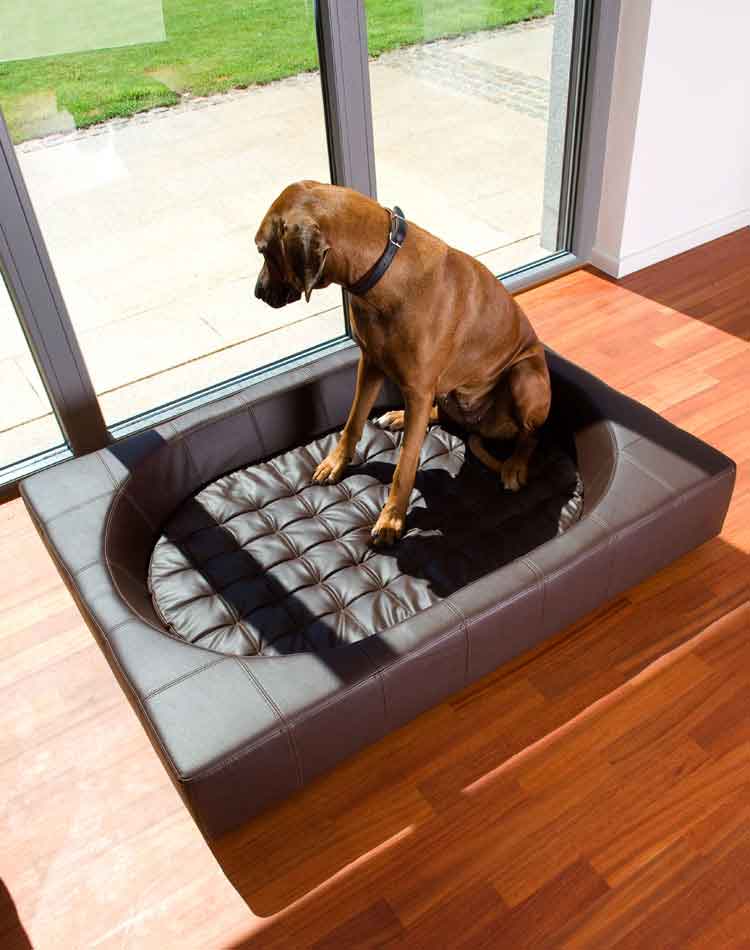 Design dog bed CUBE faux leather