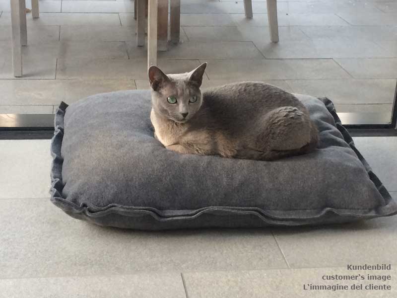 Cosy cat bed cushion, a perfect design object from pet interiors