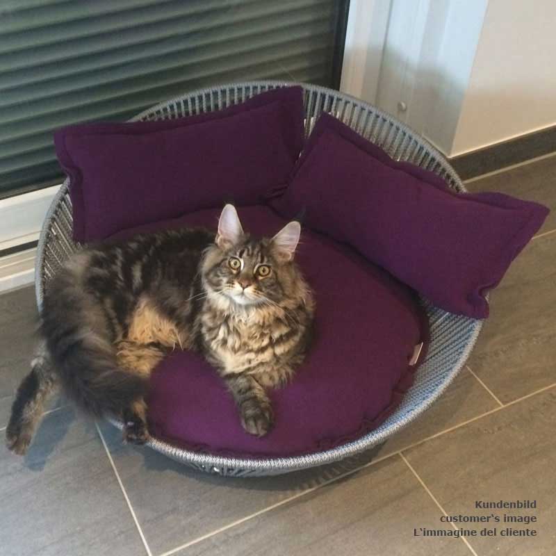 Contemporary cat furniture, a cosy, comfortable design pet product
