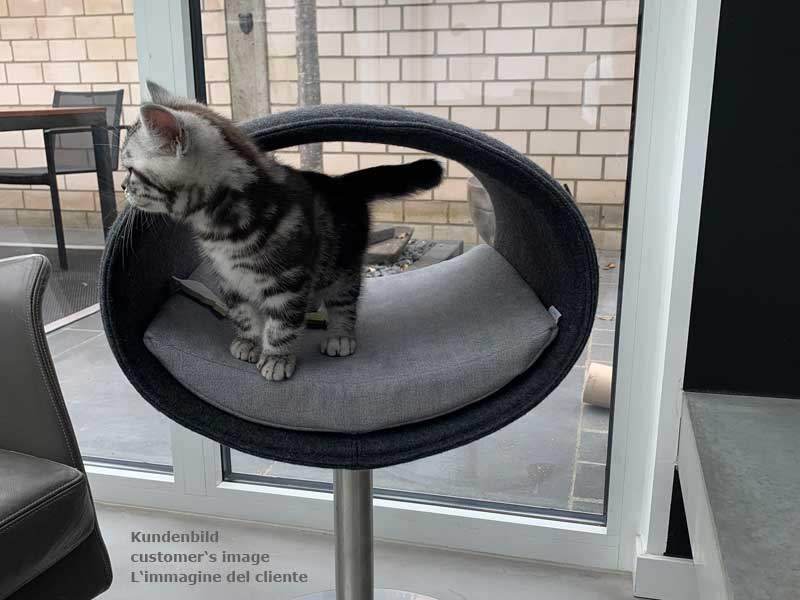 Unique cat scratcher RONDO Stand felt