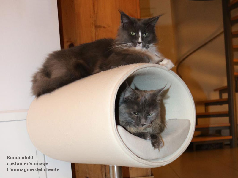 Unique cat scratcher RONDO Stand felt
