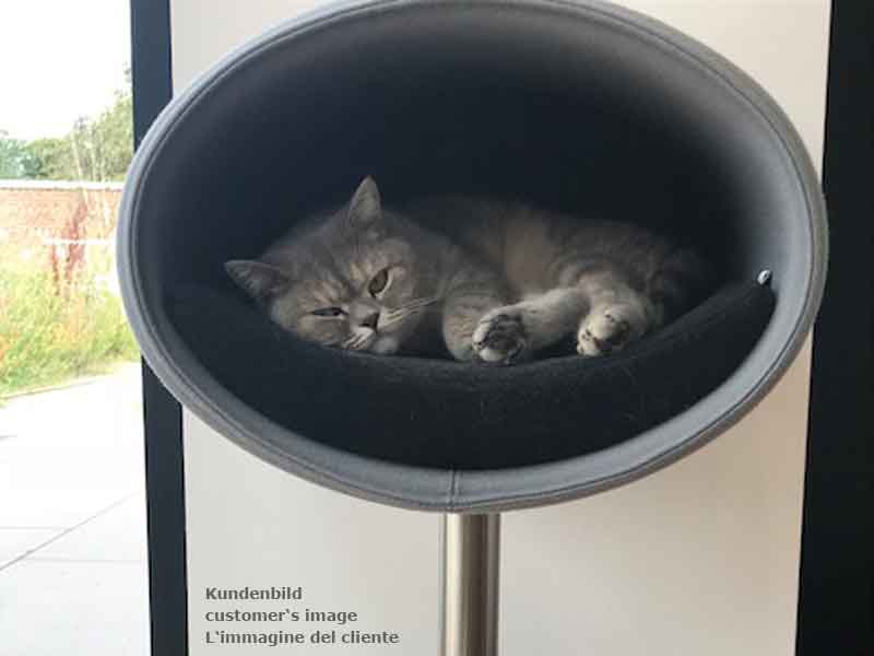 Unique cat scratcher RONDO Stand felt