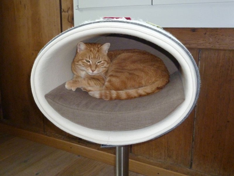 Unique cat scratcher RONDO Stand felt