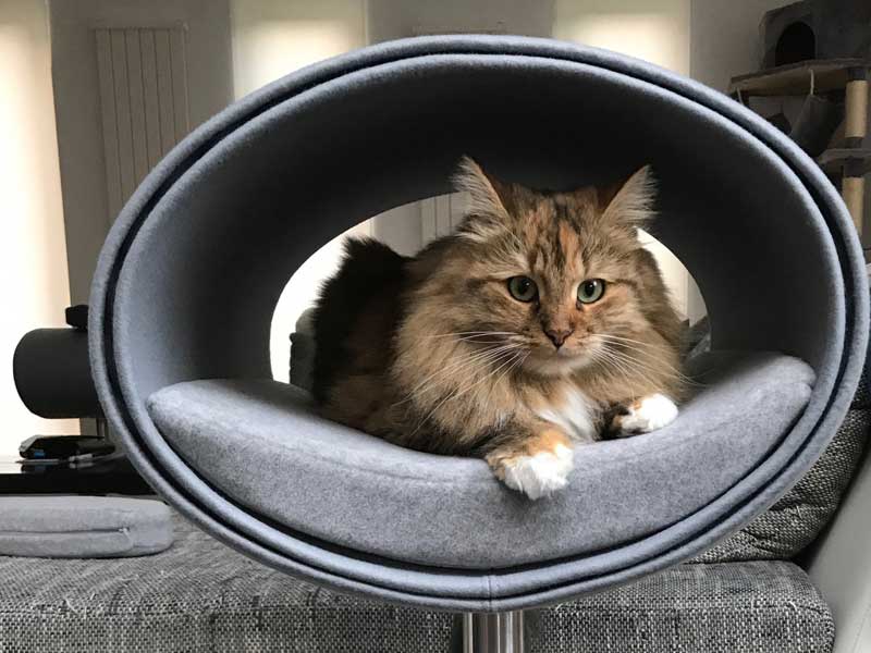 Unique cat scratcher RONDO Stand felt