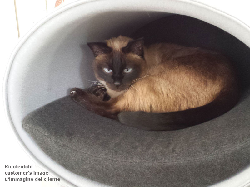 Unique cat scratcher RONDO Stand felt