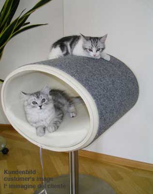 Unique cat scratcher RONDO Stand felt