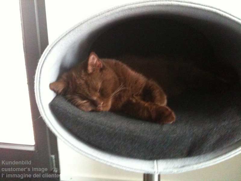 Unique cat scratcher RONDO Stand felt