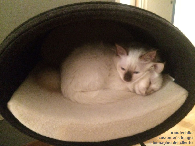 Unique cat scratcher RONDO Stand felt