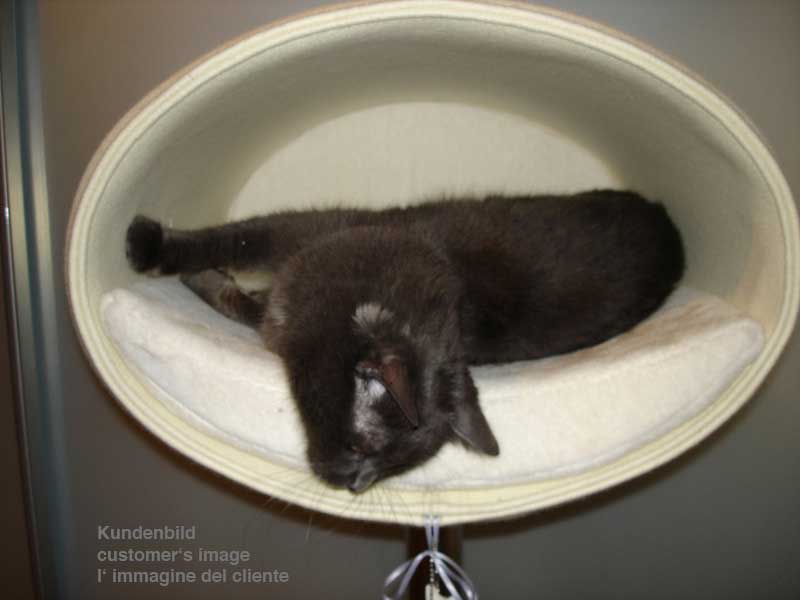 Unique cat scratcher RONDO Stand felt