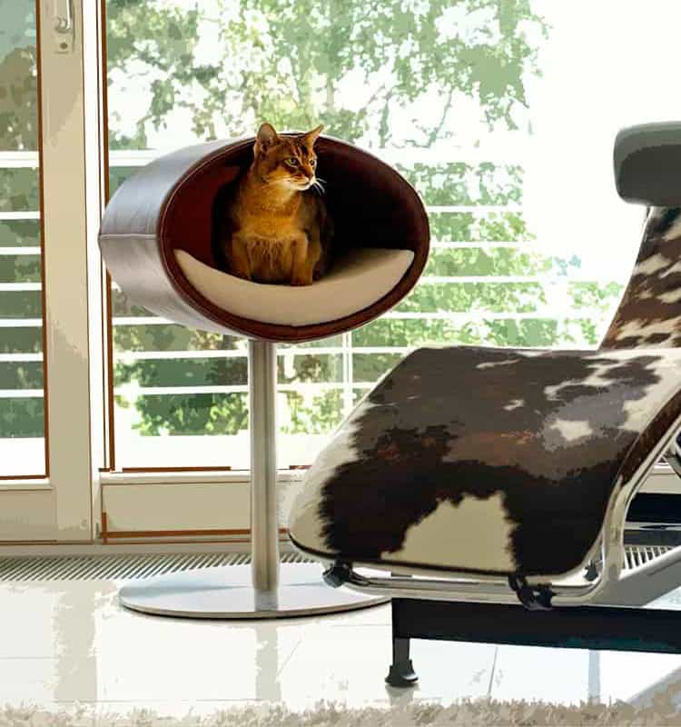Design cat tree RONDO Stand Leather