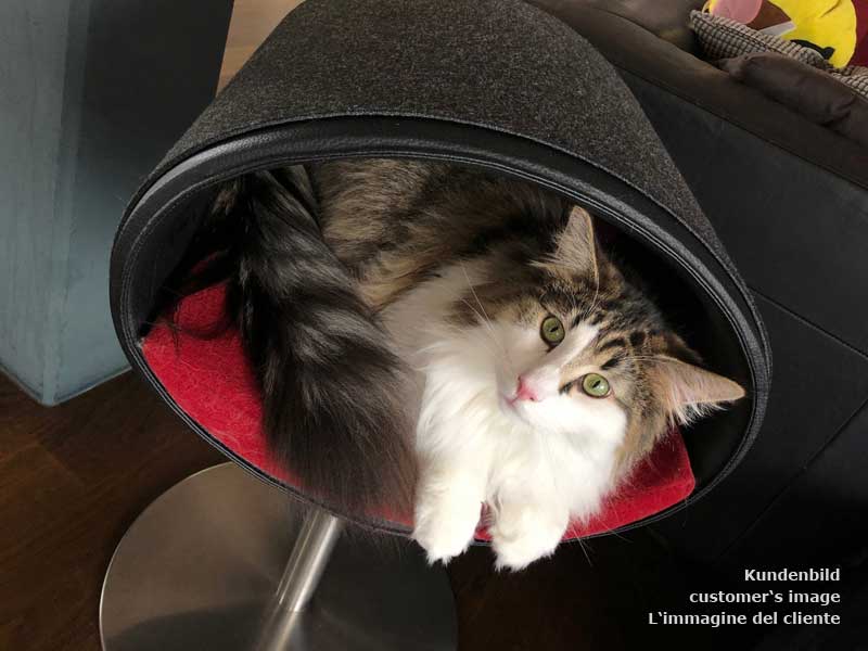 Design cat tree RONDO Stand Leather