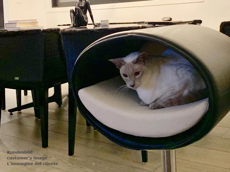 Design cat tree RONDO Stand Leather