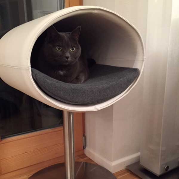 Design cat tree RONDO Stand Leather