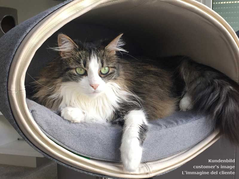 Design cat tree RONDO Stand Leather