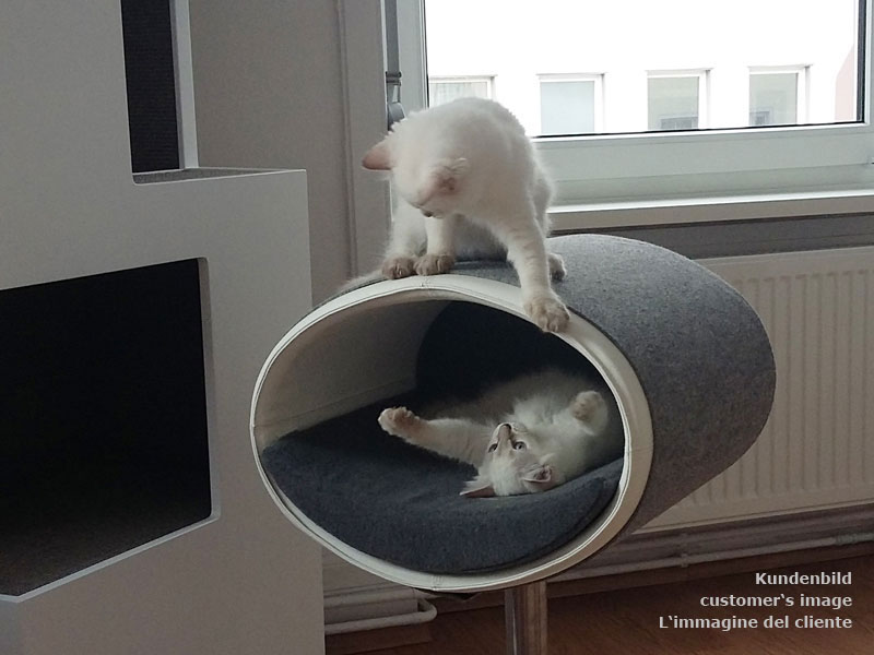 Design cat tree RONDO Stand Leather