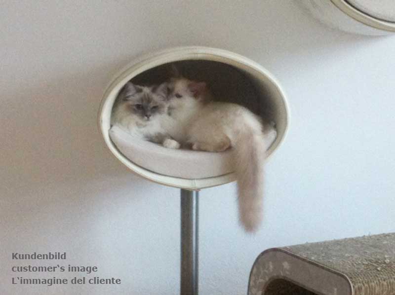 Design cat tree RONDO Stand Leather