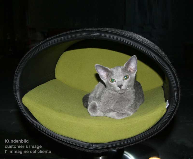 Design cat tree RONDO Stand Leather