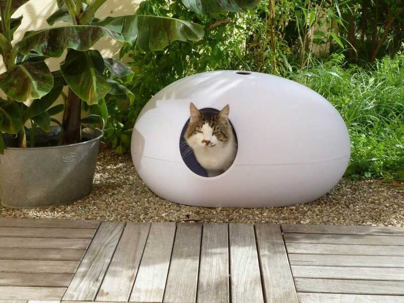 POOPOOPEEDO cat litter box