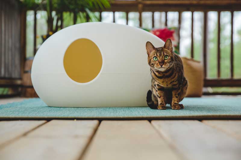 POOPOOPEEDO cat litter box
