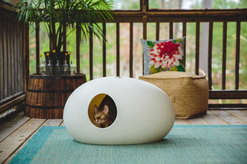POOPOOPEEDO cat litter box