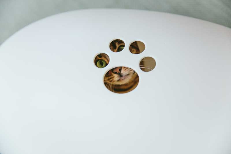 POOPOOPEEDO cat litter box