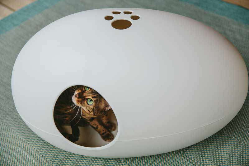 POOPOOPEEDO cat litter box