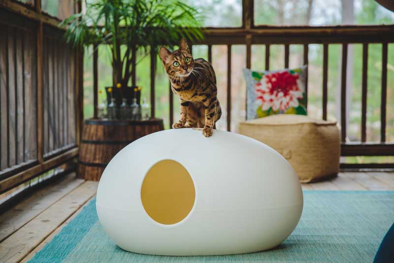 POOPOOPEEDO cat litter box