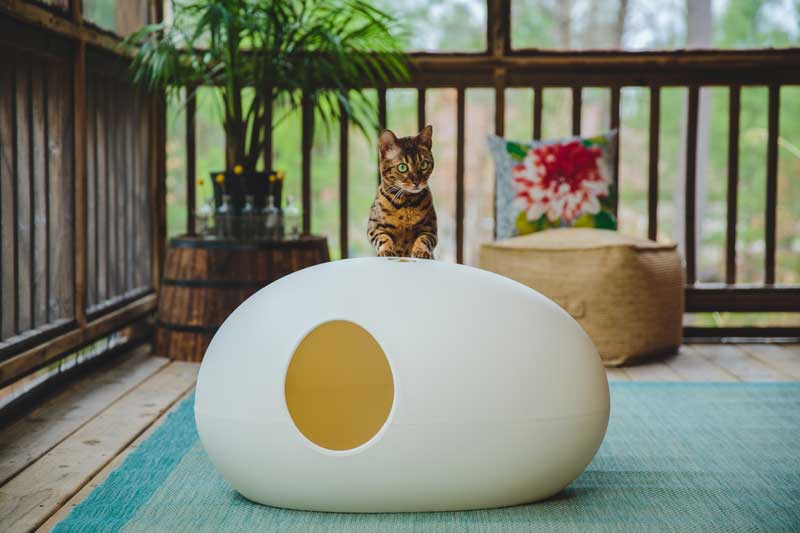 POOPOOPEEDO cat litter box