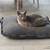 Cuscino per gatti Divan UNO