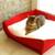 Cat basket BOWL felt