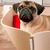 Dog bed with cushion BOWL
