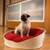 Orthopedic dog basket felt ARENA