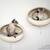 Cat climber RONDO Wall felt