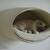 cat climbing wall RONDO Wall leather/fauxleather