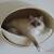 cat climbing wall RONDO Wall leather/fauxleather