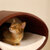 cat climbing wall RONDO Wall leather/fauxleather