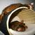 Wall mounted cat bed RONDO Wall Rattan