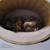 Wall mounted cat bed RONDO Wall Rattan