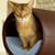 Design cat tree RONDO Stand Leather