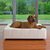Genuine leather luxury dog bed CUBE