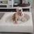 Genuine leather luxury dog bed CUBE