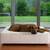 Genuine leather luxury dog bed CUBE