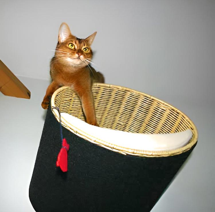 Wall mounted cat bed RONDO Wall Rattan
