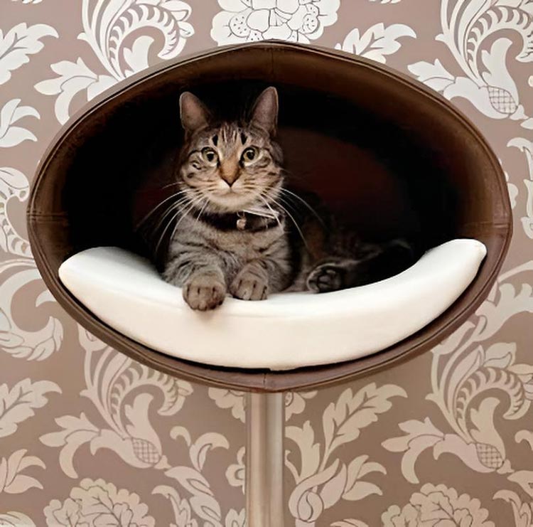 Design cat tree RONDO Stand Leather