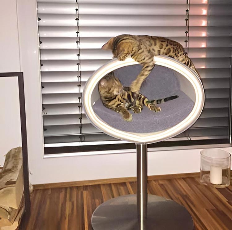 Unique cat scratcher RONDO Stand felt