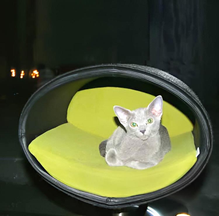 Design cat tree RONDO Stand Leather