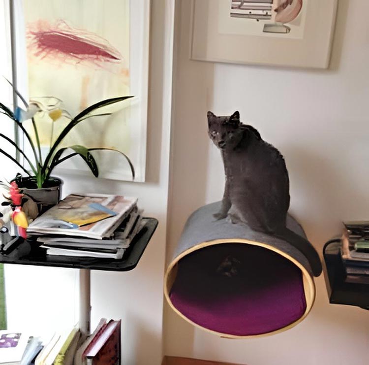 Wall mounted cat bed RONDO Wall Rattan