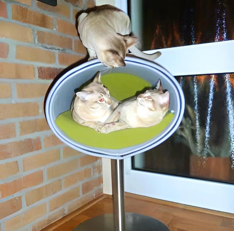 Unique cat scratcher RONDO Stand felt
