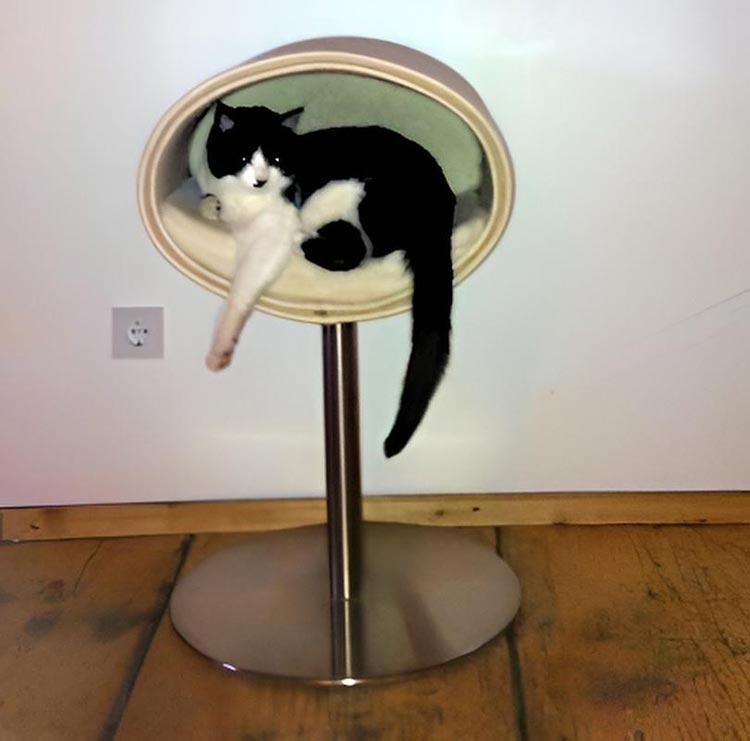 Unique cat scratcher RONDO Stand felt