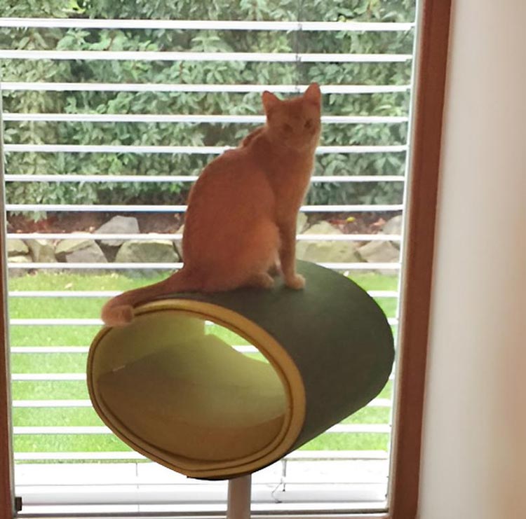 Unique cat scratcher RONDO Stand felt